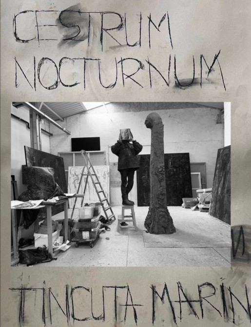 vernisaj Tincuta Marin