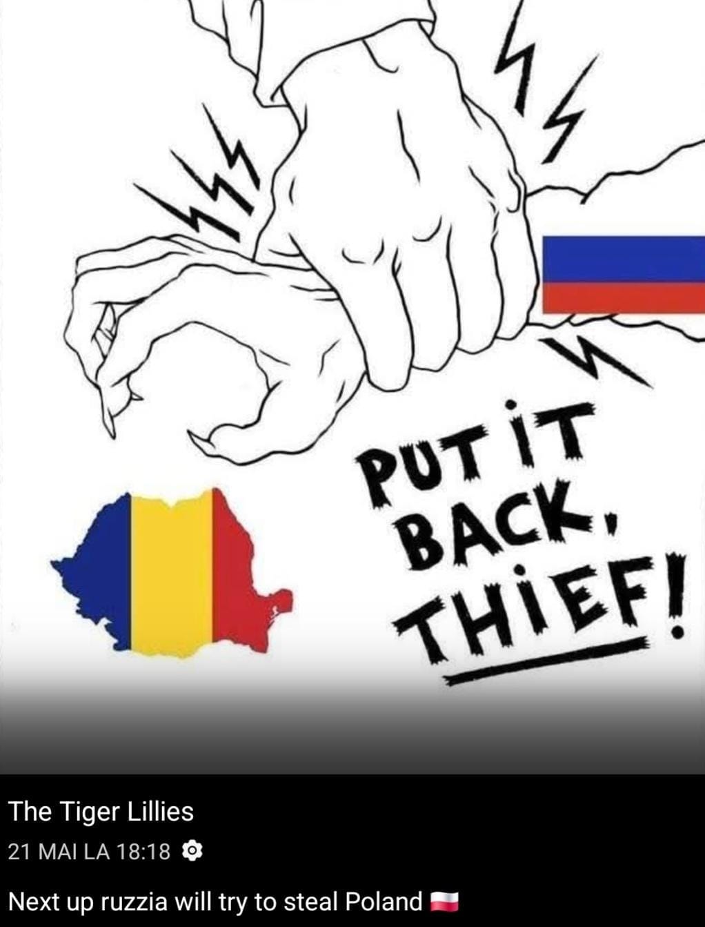 Postare pe pagina de Facebook The Tiger Lillies despre alegerile din România