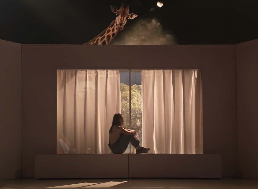 TRISTEȚE ȘI BUCURIE ÎN VIAȚA GIRAFELOR Teatrul Excelsior