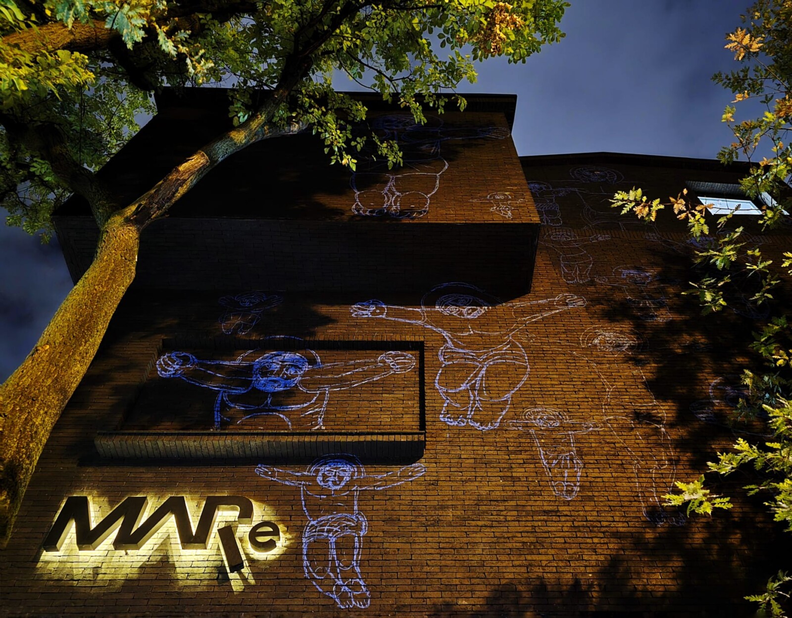 Dumitru Gorzo , MARe