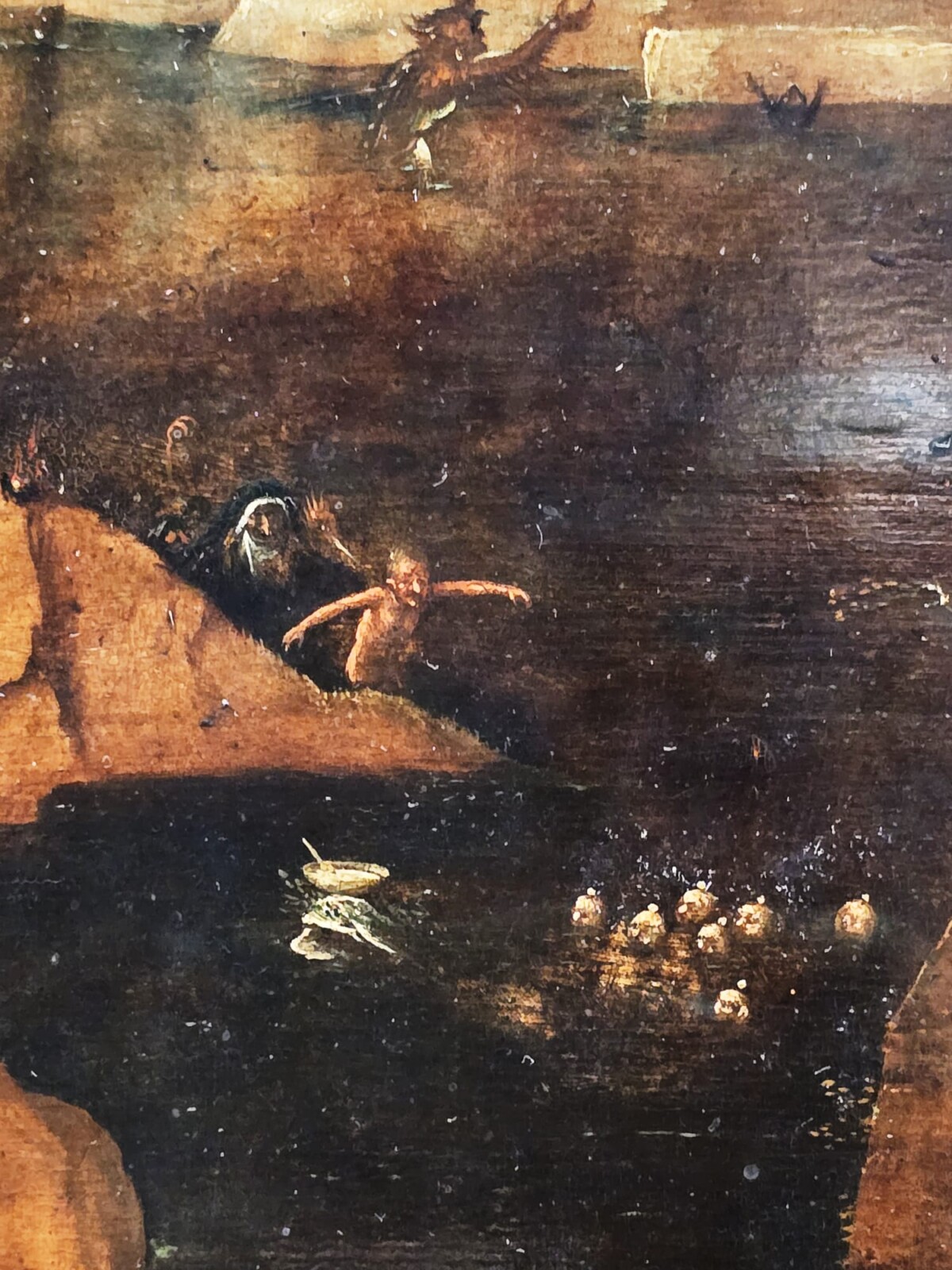 WhatsApp Image 2026 02 27 at 15.19.18