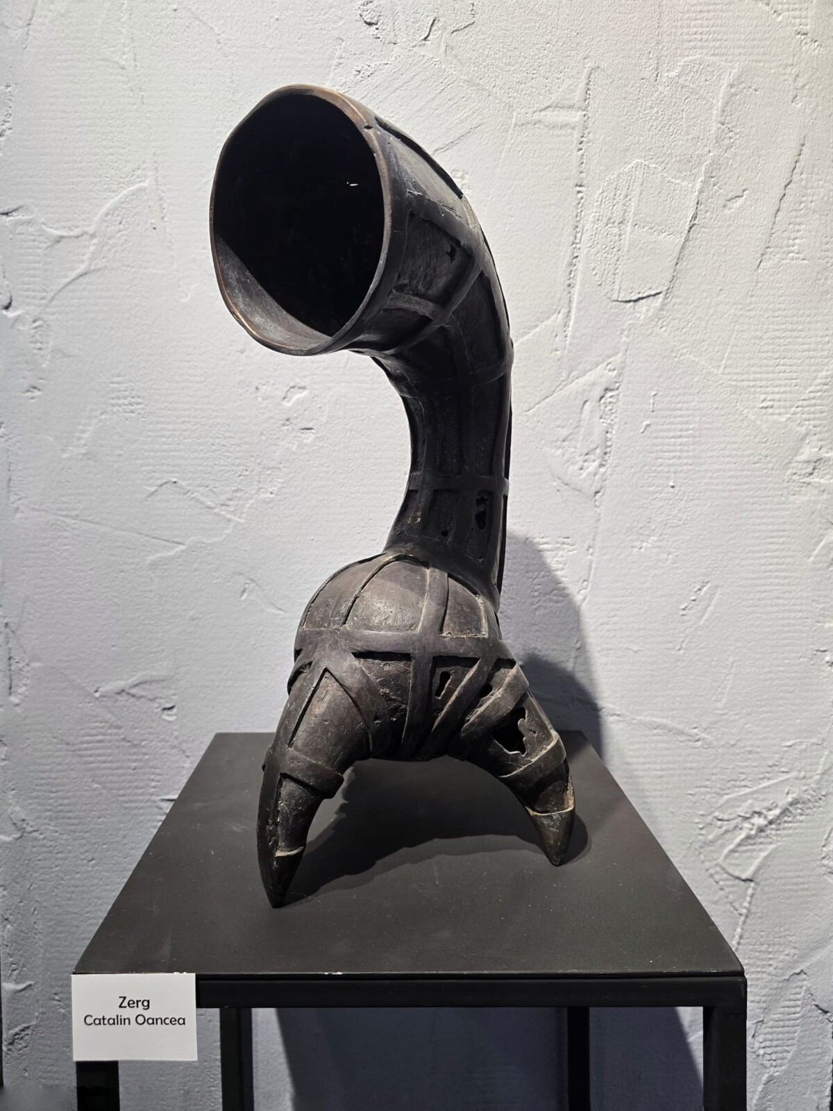 WhatsApp Image 2026 04 22 at 02.58.26