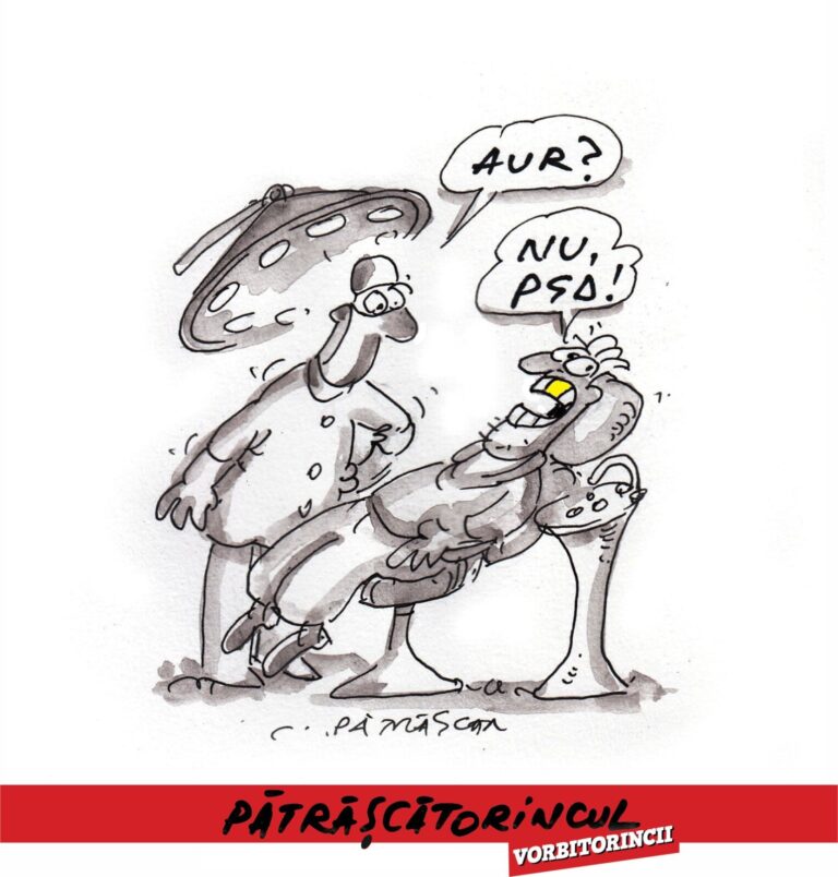 WhatsApp Image 2026 04 27 at 14.33.23