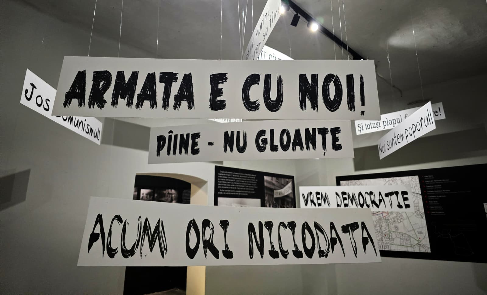 43 de trupuri dispărute. 10 redescoperite. Istoriile din Timișoara pe care nu le vei găsi într-un manual 2 Eroii din Timișoara