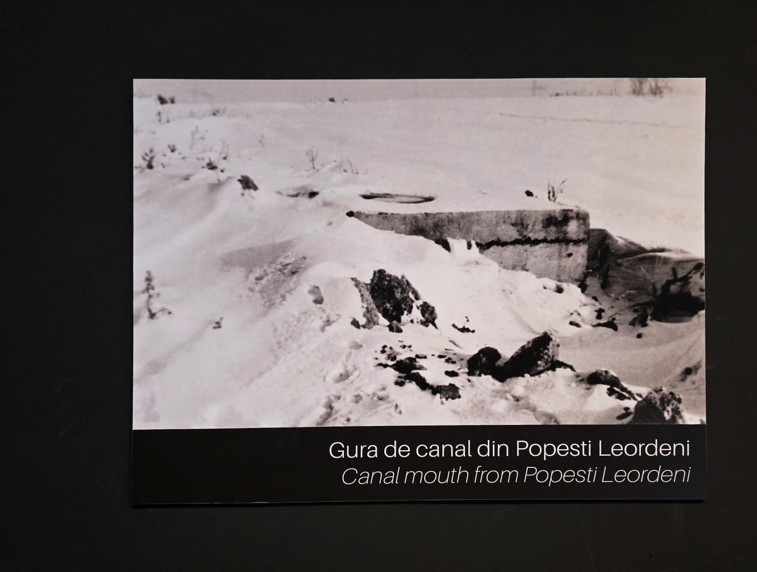 43 de trupuri dispărute. 10 redescoperite. Istoriile din Timișoara pe care nu le vei găsi într-un manual 3 Gura de canal în care a fost aruncată cenușa celor 43 de martiri din Timișoara