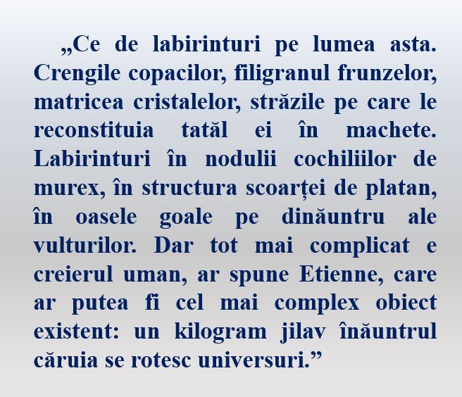 Un strop de repaus: ”Toată lumina pe care nu o putem vedea” de Anthony Doerr 8 WhatsApp Image 2026 10 06 at 14.21.58
