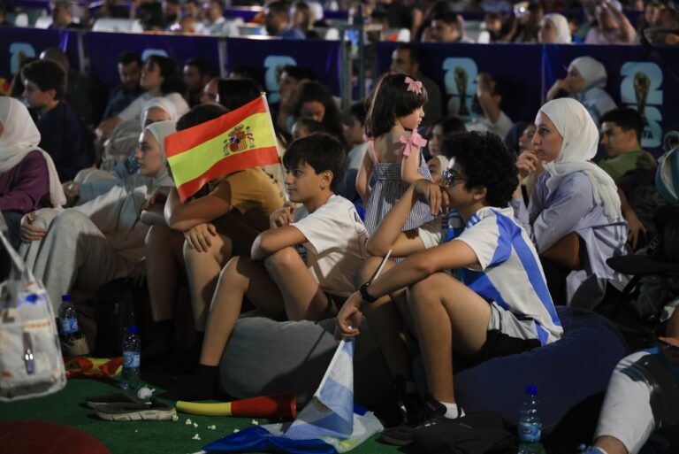 Spectatori care urmăresc finala Cupei Mondiale